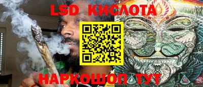 прущие грибы Конаково