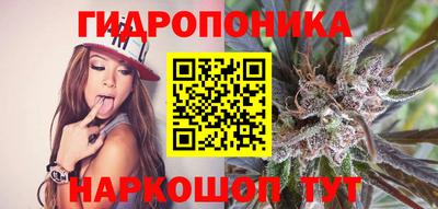 прущие грибы Конаково