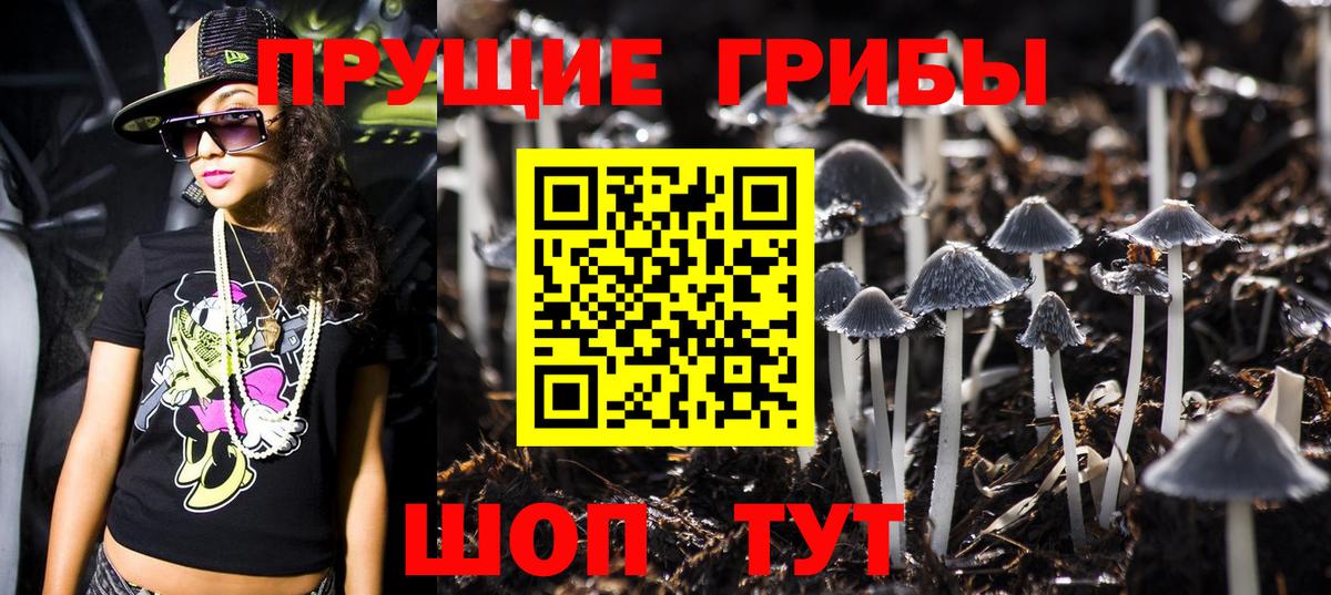 Галлюциногенные грибы Psilocybe Аксай