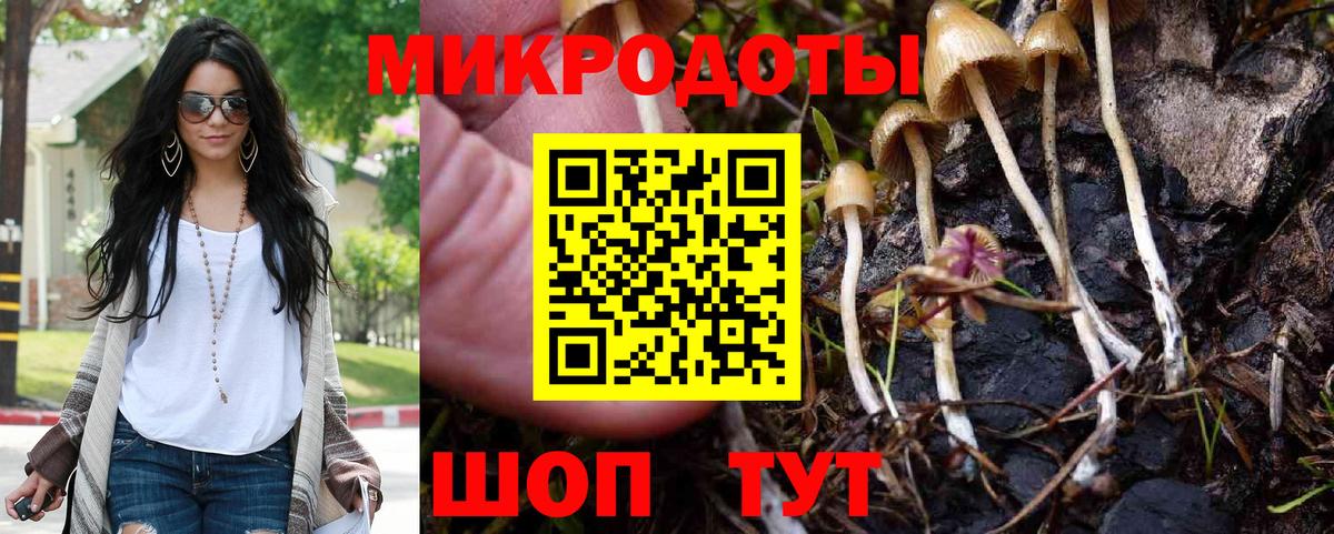Псилоцибиновые грибы Psilocybine cubensis  Вход с VPN  Аксай 